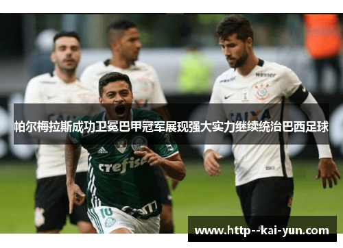 帕尔梅拉斯成功卫冕巴甲冠军展现强大实力继续统治巴西足球 帕尔梅拉斯成功卫冕巴甲冠军展现强大实力继续统治巴西足球